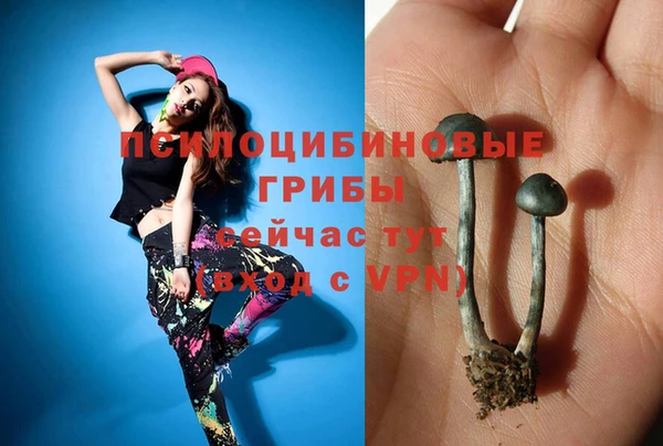 СК Арсеньев